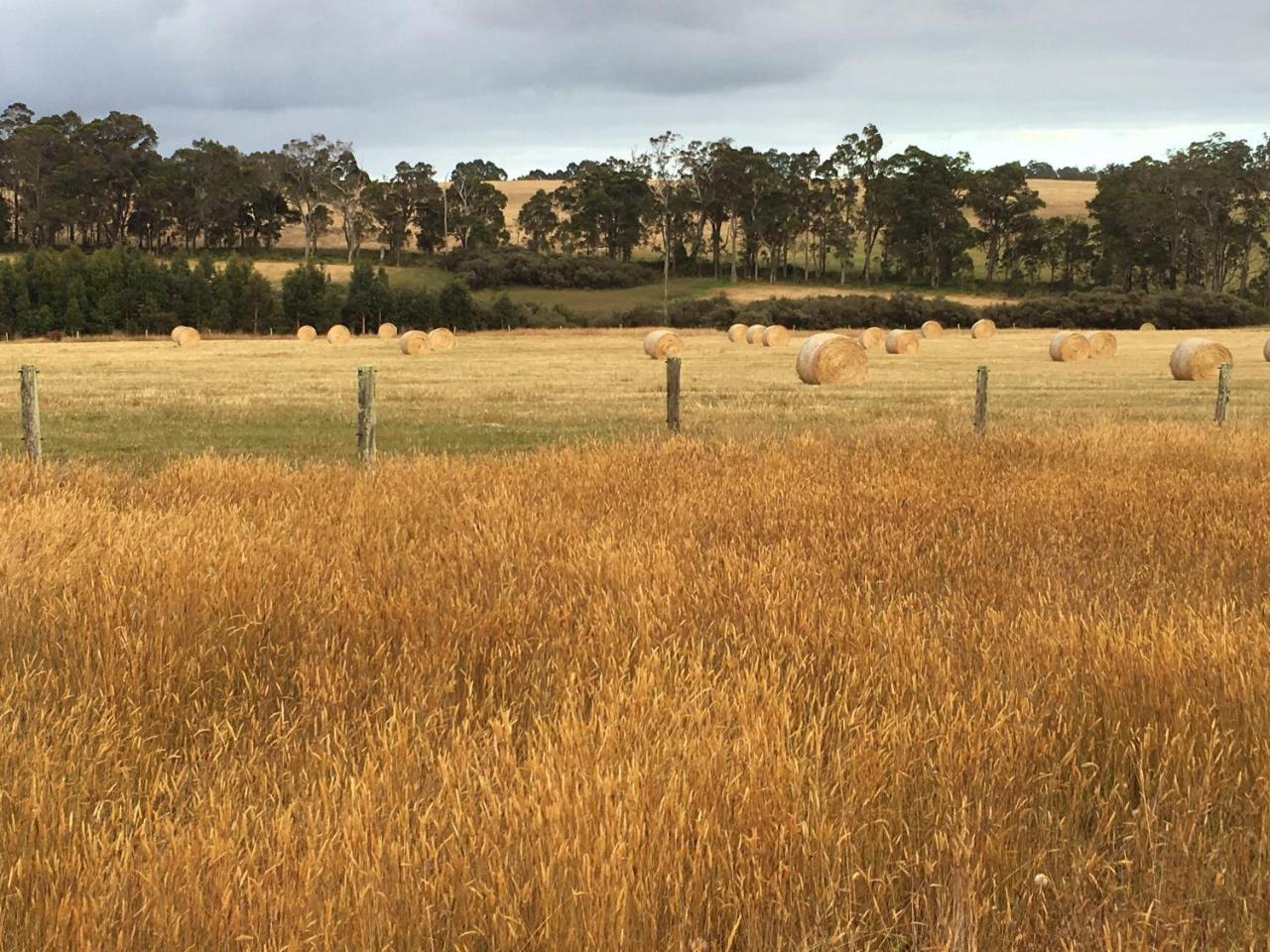 Margaret River Farmhouse Rosa Glen Exteriör bild