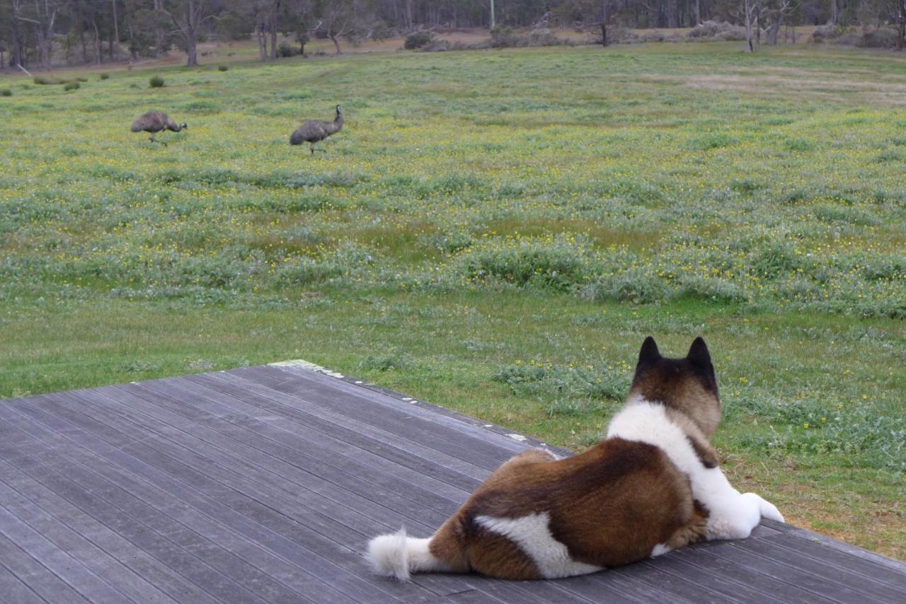 Margaret River Farmhouse Rosa Glen Exteriör bild